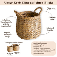 Lade das Bild in den Galerie-Viewer, CITRA