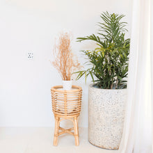 Lade das Bild in den Galerie-Viewer, AKARA