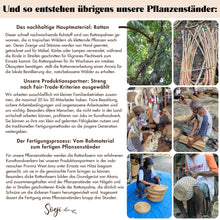 Lade das Bild in den Galerie-Viewer, AKARA