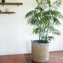 Lade das Bild in den Galerie-Viewer, NIAS (blau)