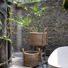 Lade das Bild in den Galerie-Viewer, CANGGU